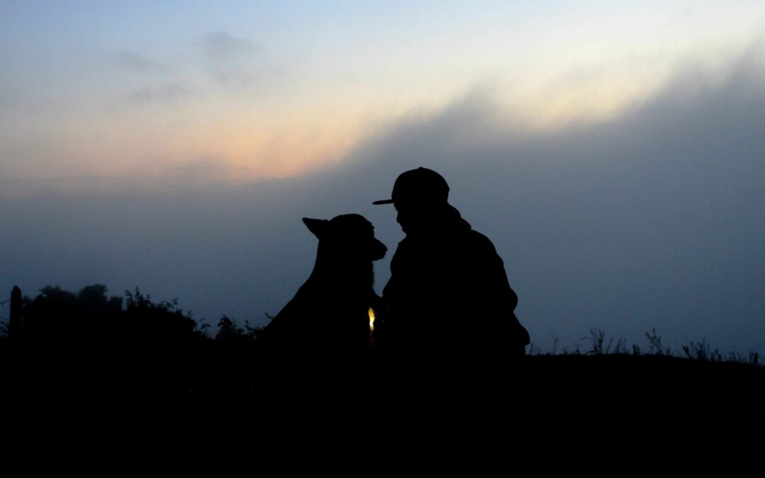 Humain accompagné de son animal dans un moment paisible