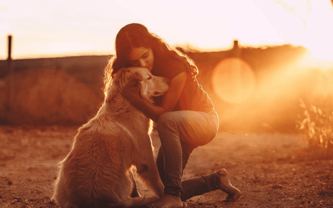 Émotions et bien-être animal