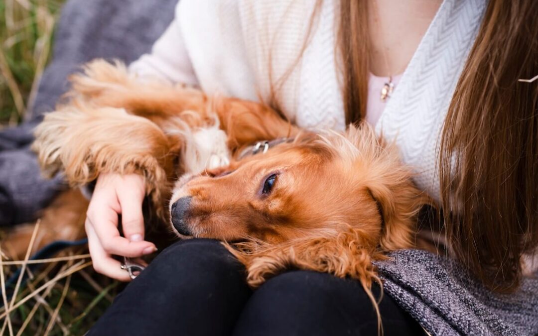 L’animal thérapeute