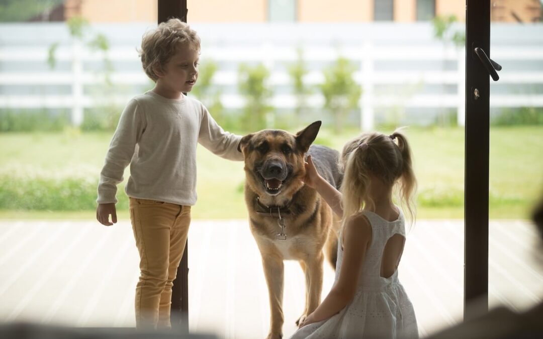 Communication animale : équilibrer la relation entre chiens et enfants