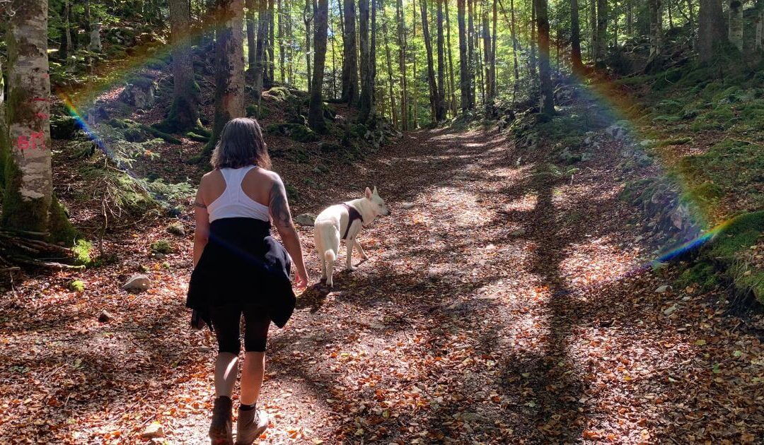 Débuter en communication animale : 5 exercices et les erreurs à éviter