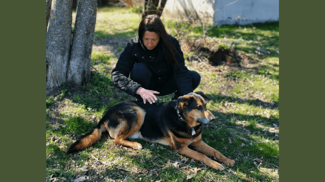 Humain posant ses mains près d’un animal dans un moment calme de soin énergétique