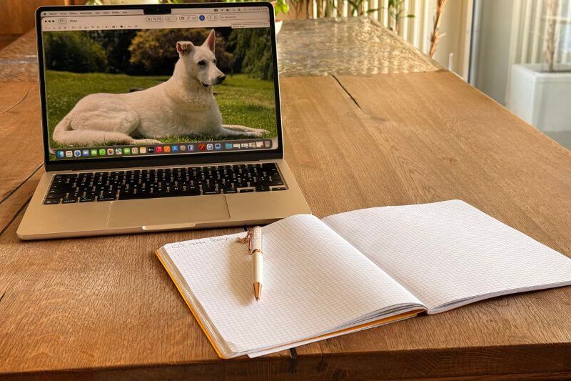 Comment se déroule une séance de communication animale ?