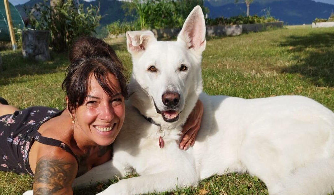 Qu’est-ce que la communication animale ?