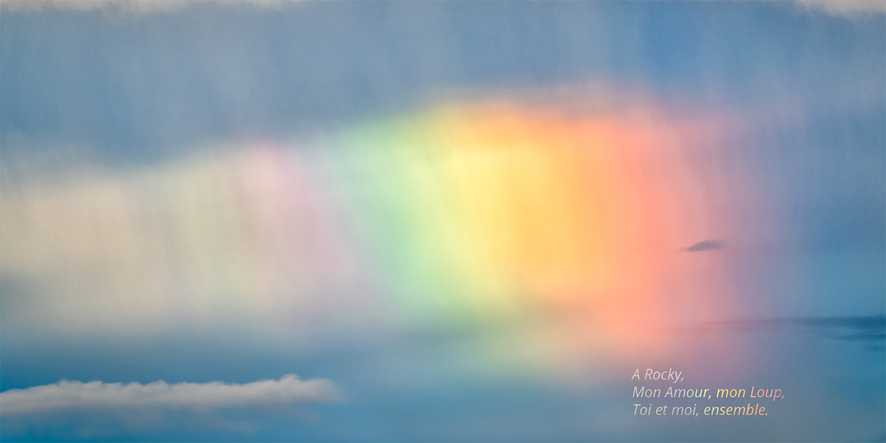 Le Pont de l'Arc-en-Ciel - AG Communication Animale