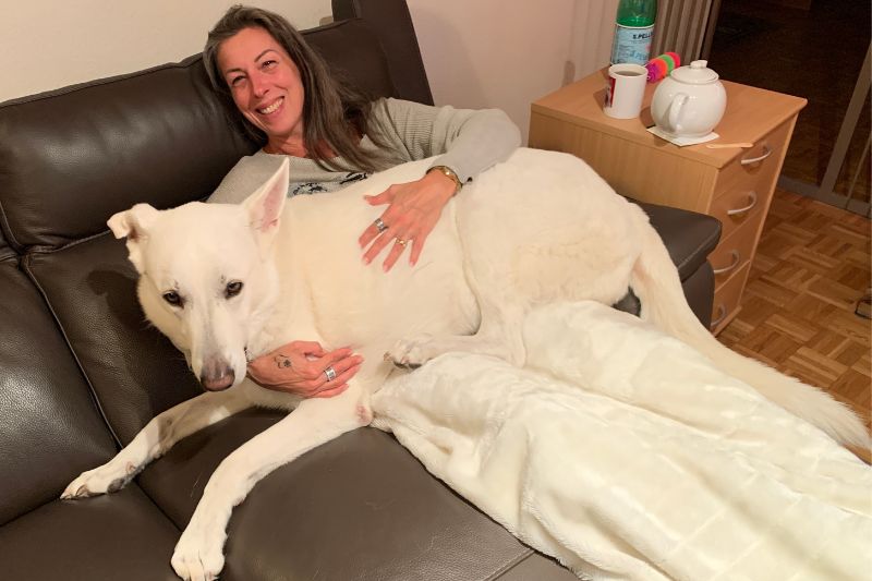 Rocky ayant peur de l'orage et moi je suis son lieu de refuge