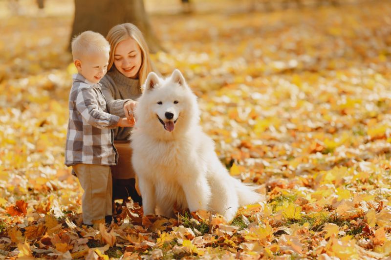 Un enfant avec sa mère et son chien. L'enfant apprend comment se comporter avec le chien,