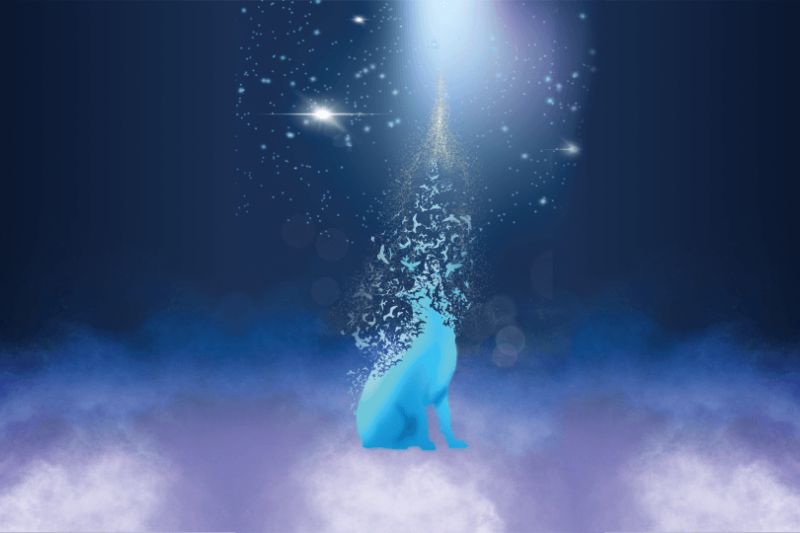 Image de Rocky se désagrégeant pour symboliser le départ de l'âme dans l'au-delà