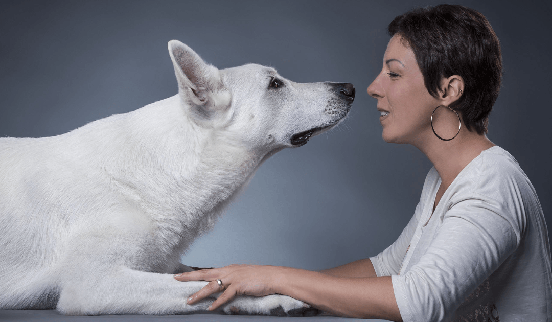 L’effet miroir : Quand votre animal reflète vos émotions