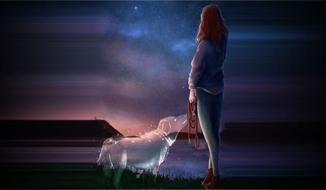 Les signes d’un animal décédé