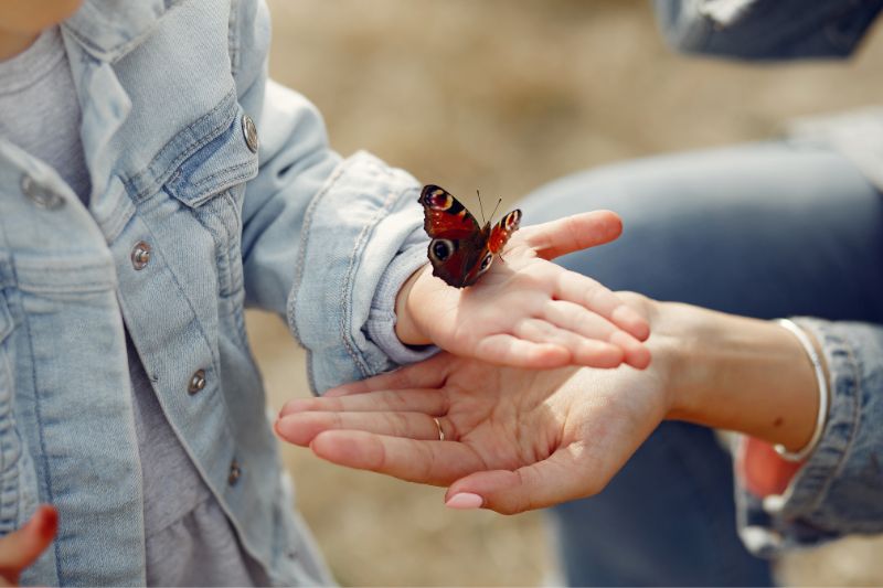 Un papillon se pose sur la main d'un enfant pour symboliser un signe d'une présence invisible d'un animal décédé