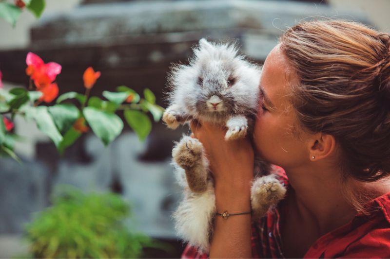 Une femme embrassant un lapin